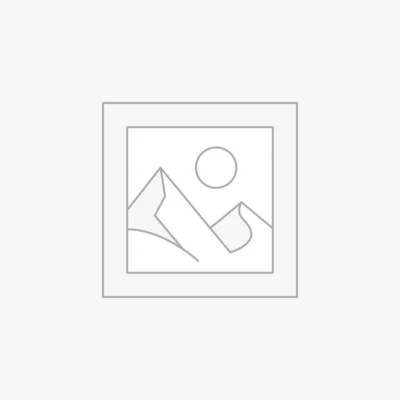 Mitsubishi Electric